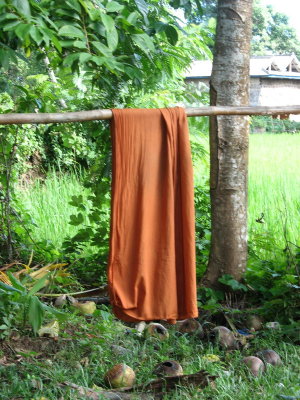 Saffron monk's robes
