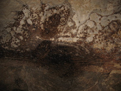 Bat-cave