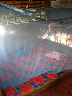 Me homestay bed - with a hole-y mosquito net!
