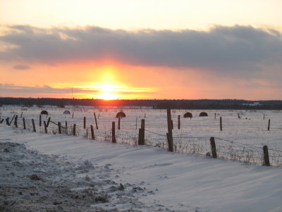 Sunset over fields