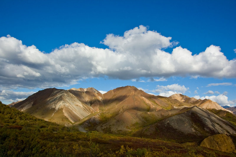 Denali National Park