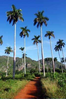 path to vinales