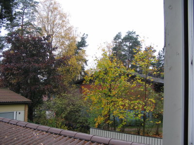 A view from my window