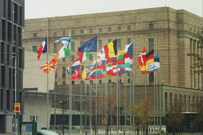EU flags