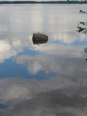 A bird on the stone