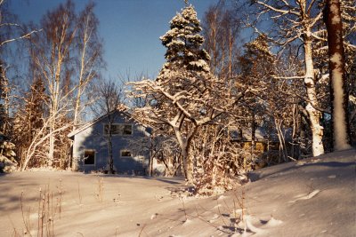 Winter view