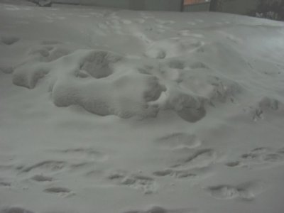 Art of snow in the evening 1