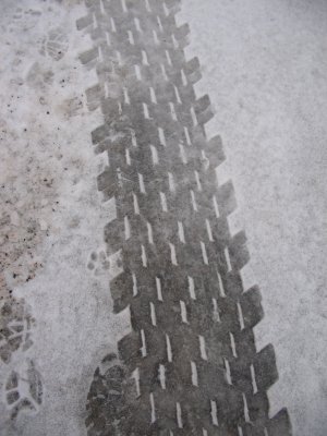 Tracks on the snow 2