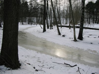 Reflection on ice