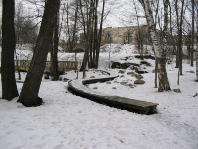 Birches and other trees near frozen falls