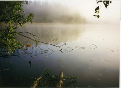 Krppjrvi, Foggy Morning