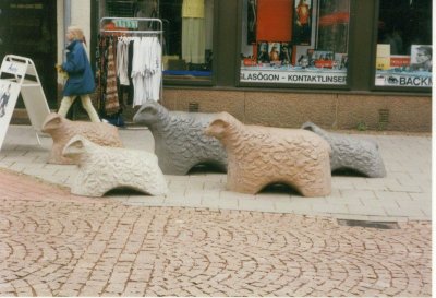 Sheep, Mariehamn