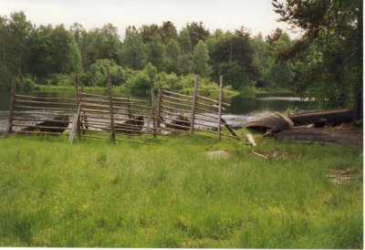 Another fence, Jyskyjrvi, Russian Karelia 2001