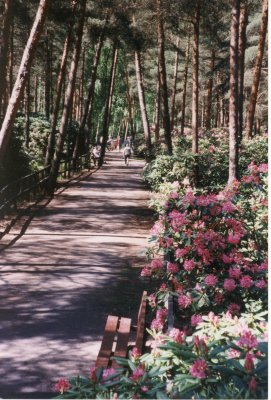 Rhododendron Park, Helsinki, Finland