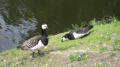 g6/64/696664/3/80520702.CcdXmQgQ.jpg