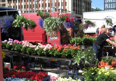 Flowers, flowers!