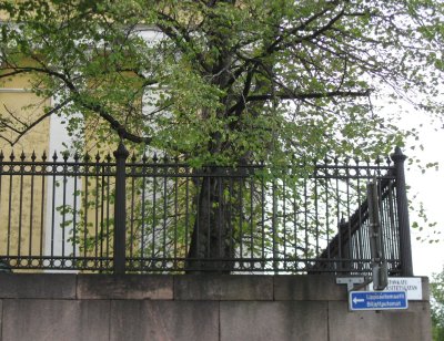 Metal Fence, Yliopistonkatu ( = University Street)
