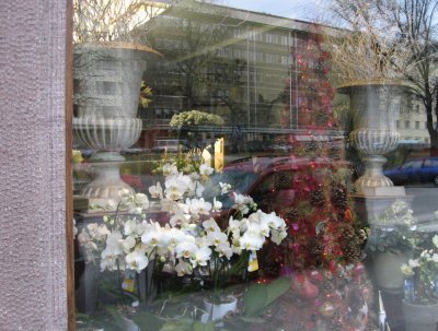 Florist's Shop in December, Helsinki