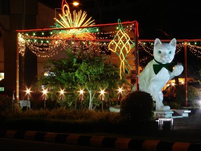 Kuching Cat at Night