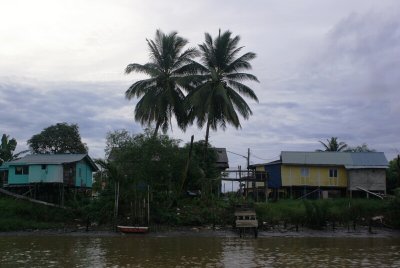 A House With Two Coconut Palms