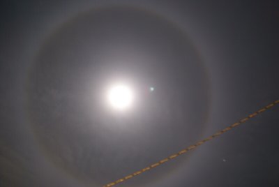 The Moon Dog (Halo)