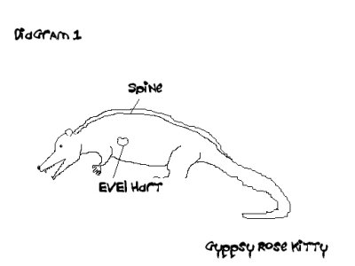 Opossum Hunting Seminar Pamphlet Diagram 1
