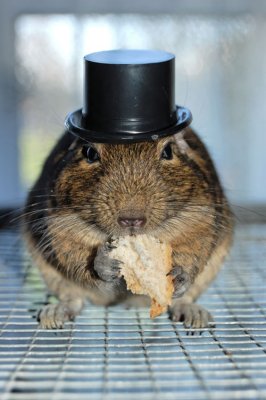 I'm a poor lomesome cowboy....jpg