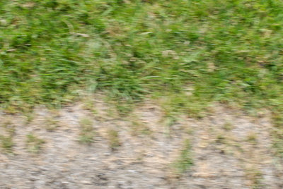 g6/64/739364/3/79294489.dLrkjI2o.jpg