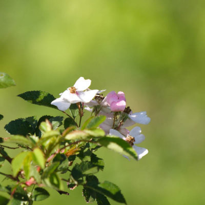 IMG_0639.jpg