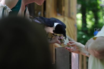 IMG_0809.JPG