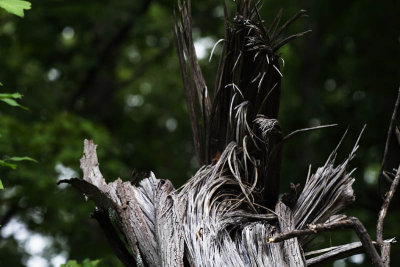 Unwoven