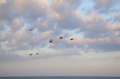 Dawn Patrol