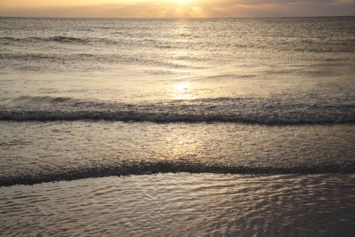 Evening Sun