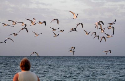 Flight 2