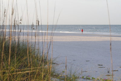 Surf Fishing