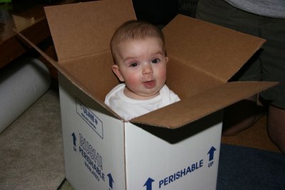 Babies & Kids, Oh My!