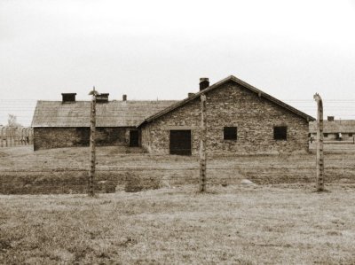 Auschwitz - Sepia Behind Wire
