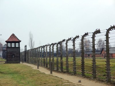 Auschwitz - Nasty Electric Fence