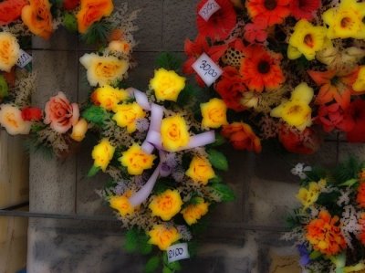 Auschwitz Flowers Painted