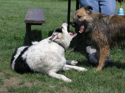 Who's mouth is wider?