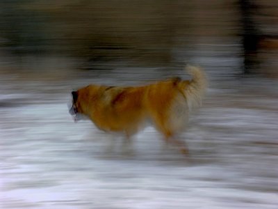 Sophie Blur