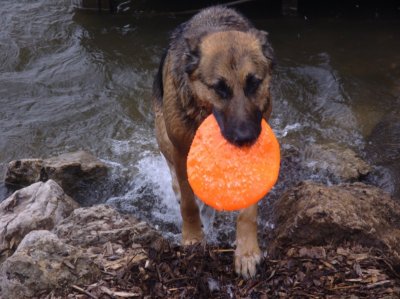 Jack with Frisbee