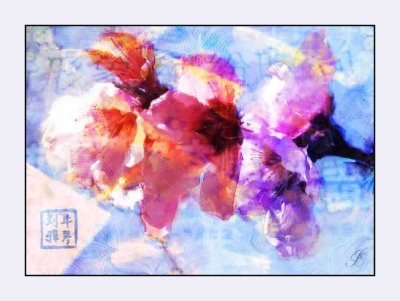 more blossoms