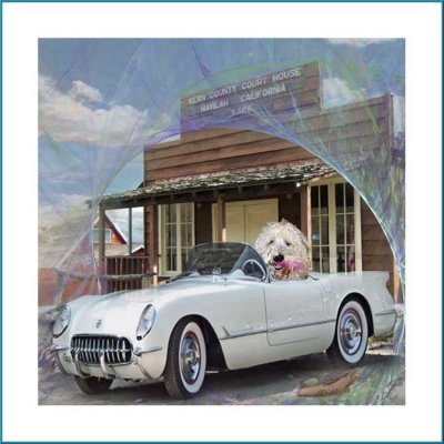 corvette harley.jpg