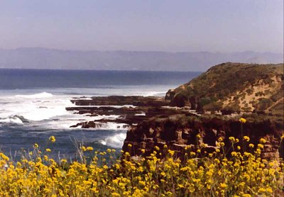 Montana-De-Oro