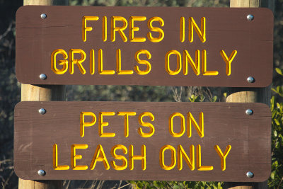 Fires in Grills