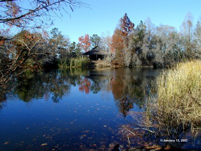 Botanical Garden