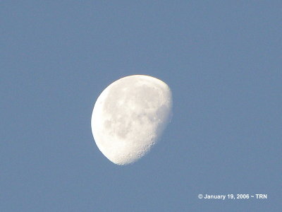 Moon in the morning