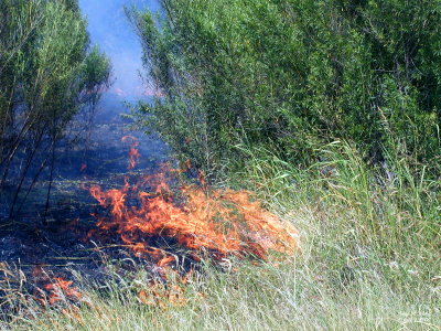 Brush Fire 2