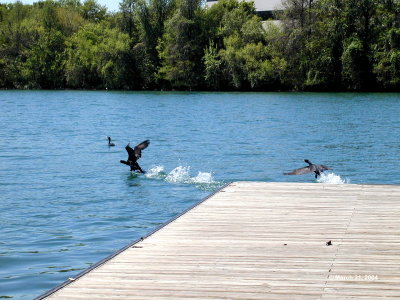 Leaving the dock